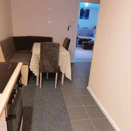 Apartment Ferienwohnung Schmiedefeld am Rennsteig